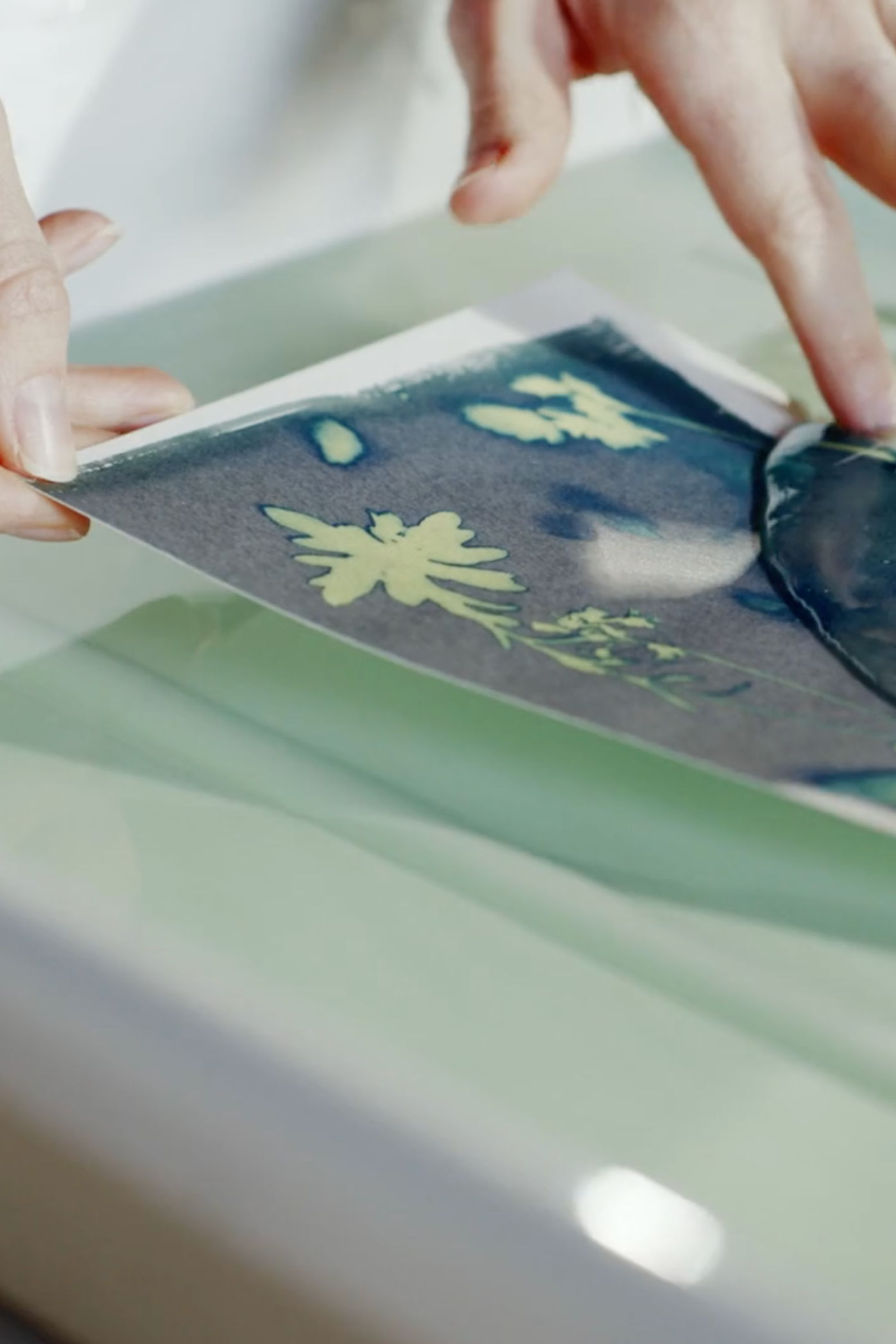Cyanotypie Papier