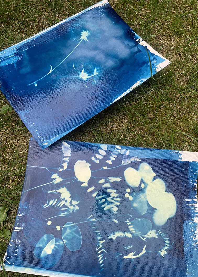 Cyanotypie Einsteiger Workshop