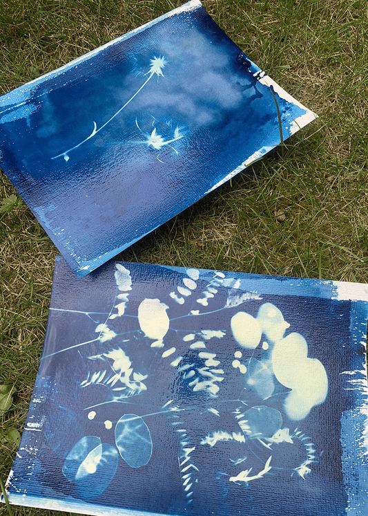 Cyanotypie Einsteiger Workshop