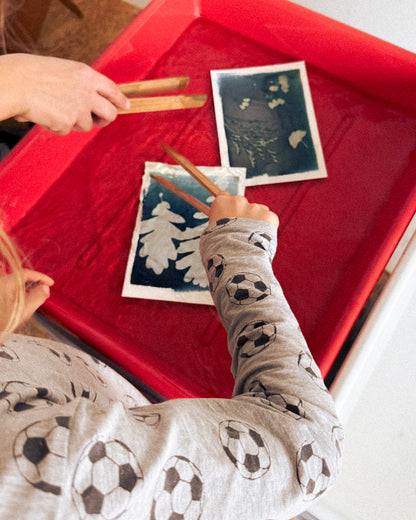 Family - Cyanotypie Workshop