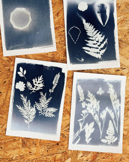 Family - Cyanotypie Workshop