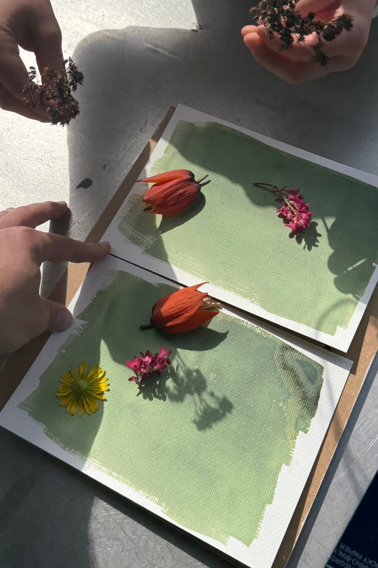 Cyanotypie Papier